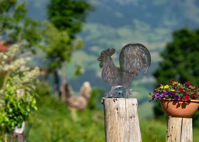 Apartment Hof Zenzern *