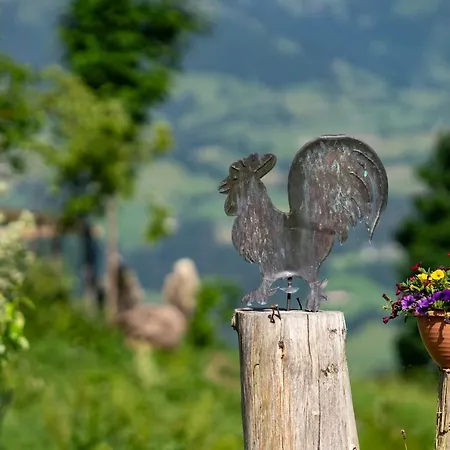 公寓 Hof Zenzern *